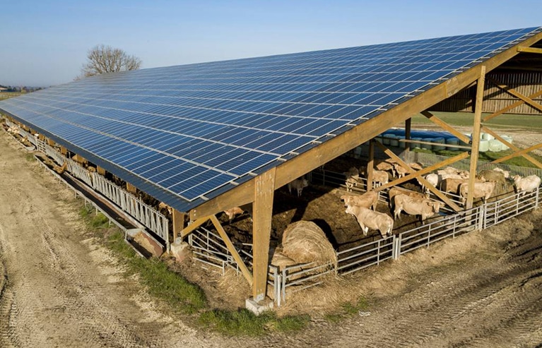 Photovoltaïque agricole